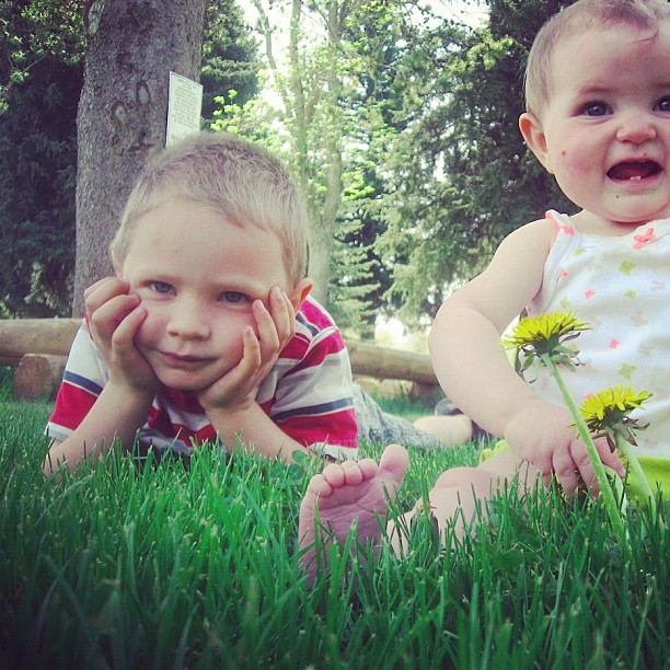 little boy and baby girl sitting in front of dandelions instagram