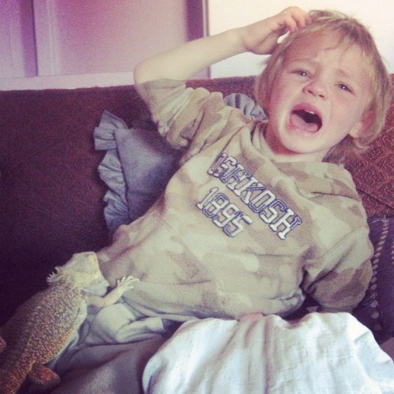 little boy holding lizard crying instagram